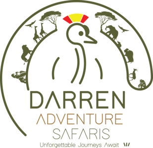 Darren Safaris Logo Mobile